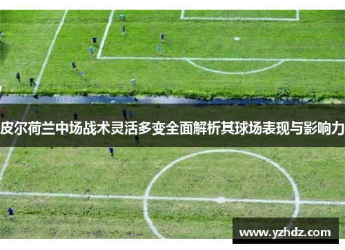 皮尔荷兰中场战术灵活多变全面解析其球场表现与影响力