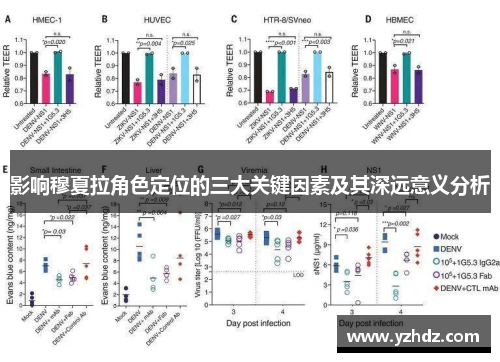 影响穆夏拉角色定位的三大关键因素及其深远意义分析