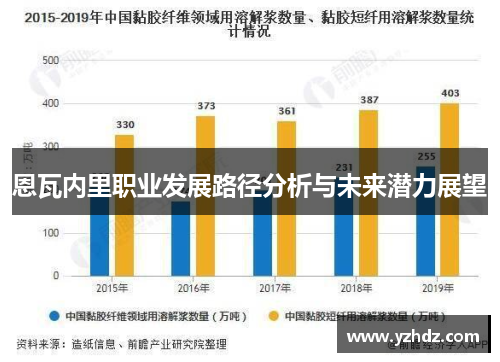 恩瓦内里职业发展路径分析与未来潜力展望 恩瓦内里职业发展路径分析与未来潜力展望